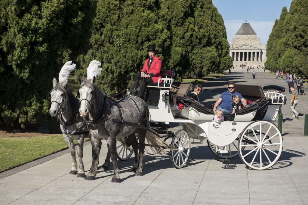 Horse Drawn carriages with customers