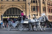Horse Drawn carriage with flinders street station in background