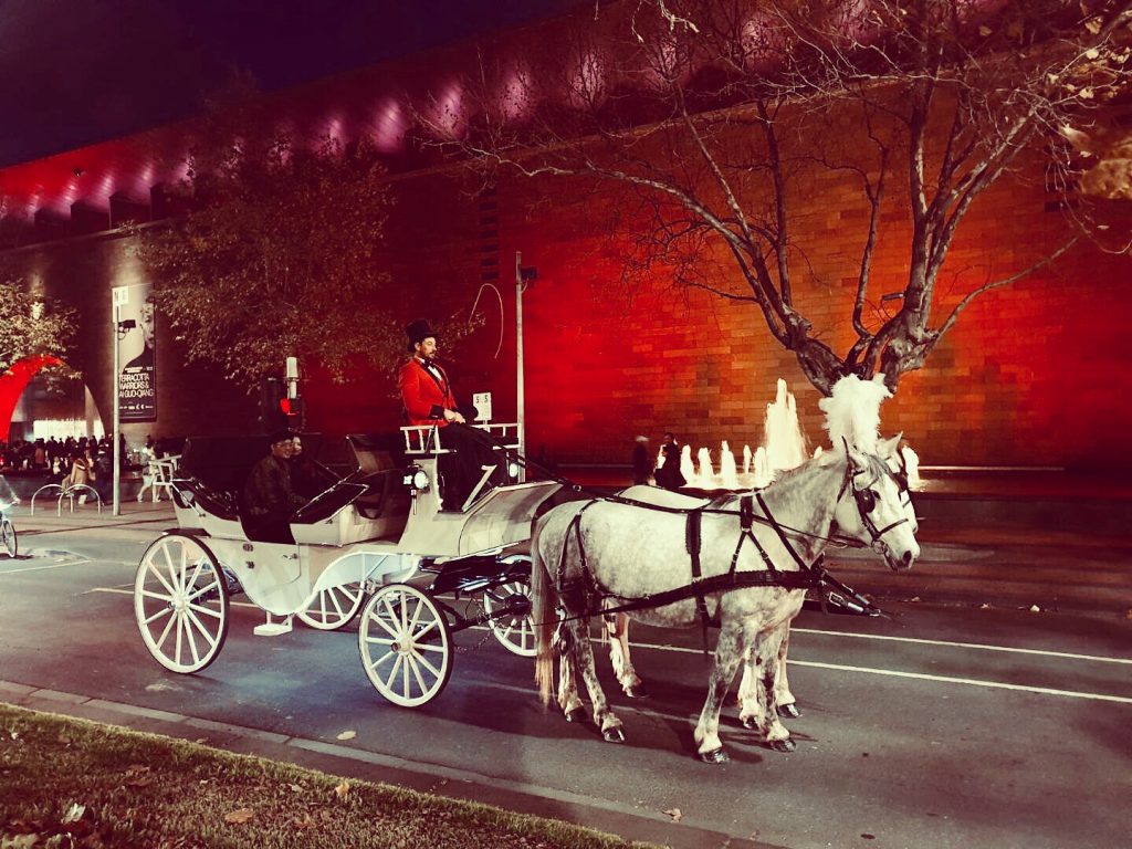 horse and carriage with ngv in background