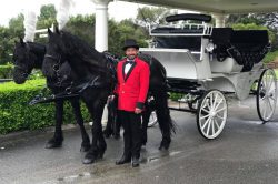 male carriage driver in red uniform