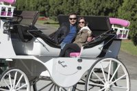 happy couple sitting in white carriage