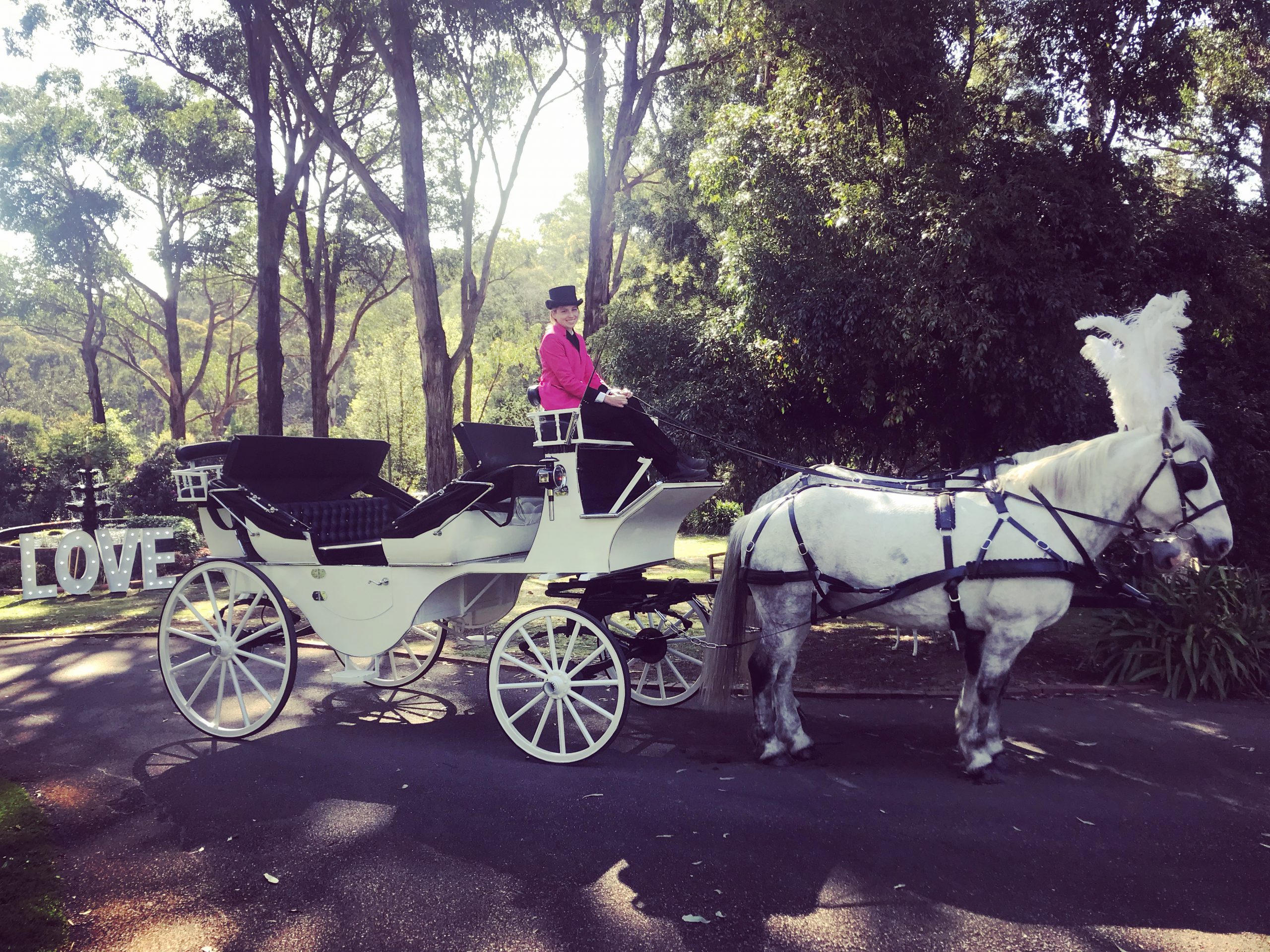 wedding horse and carriage