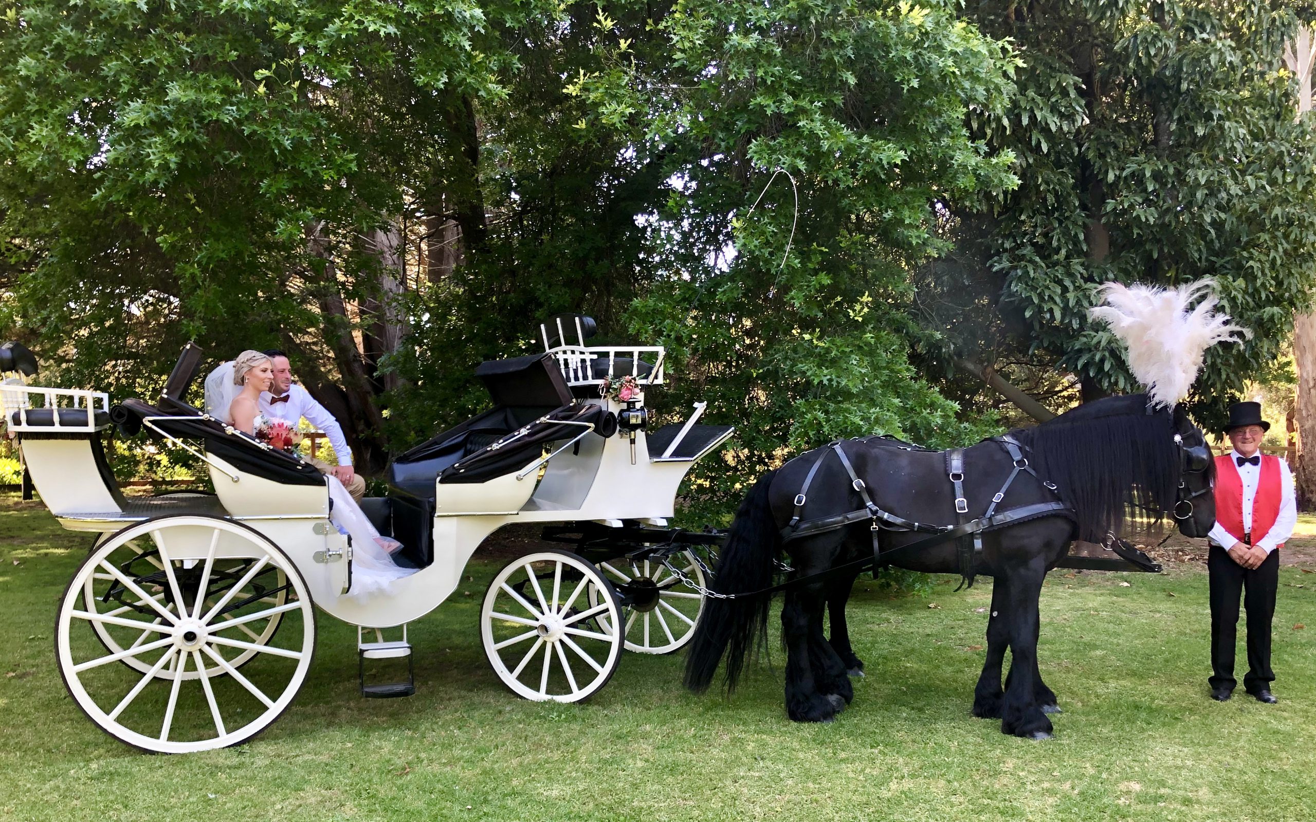 wedding horse and carriage