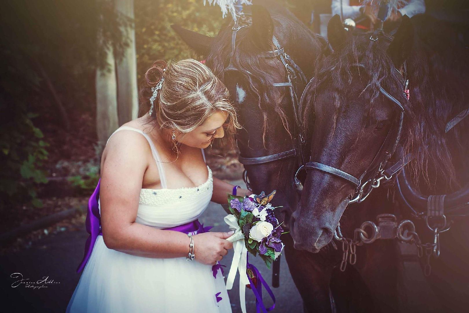 bride and horses