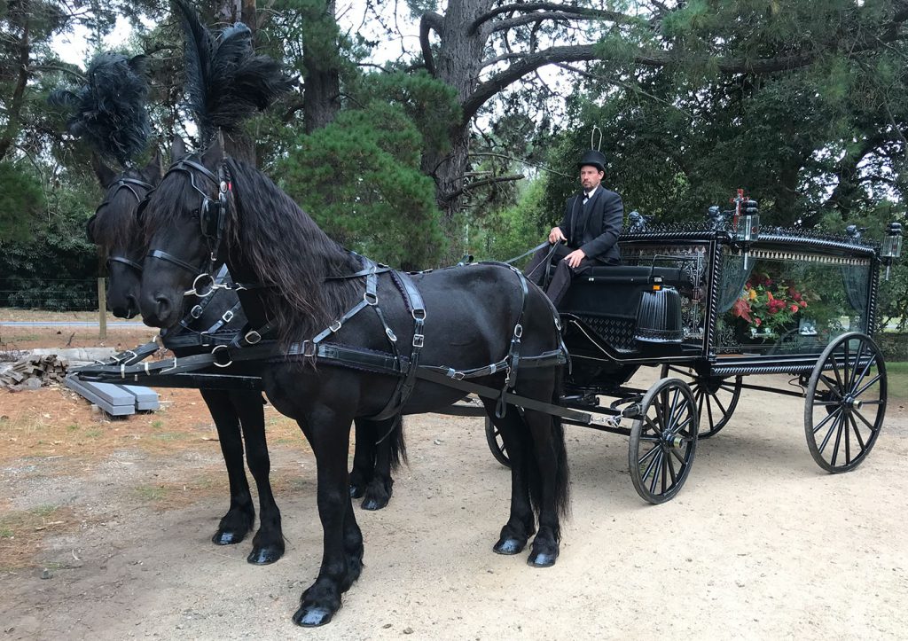 Horse and hearse