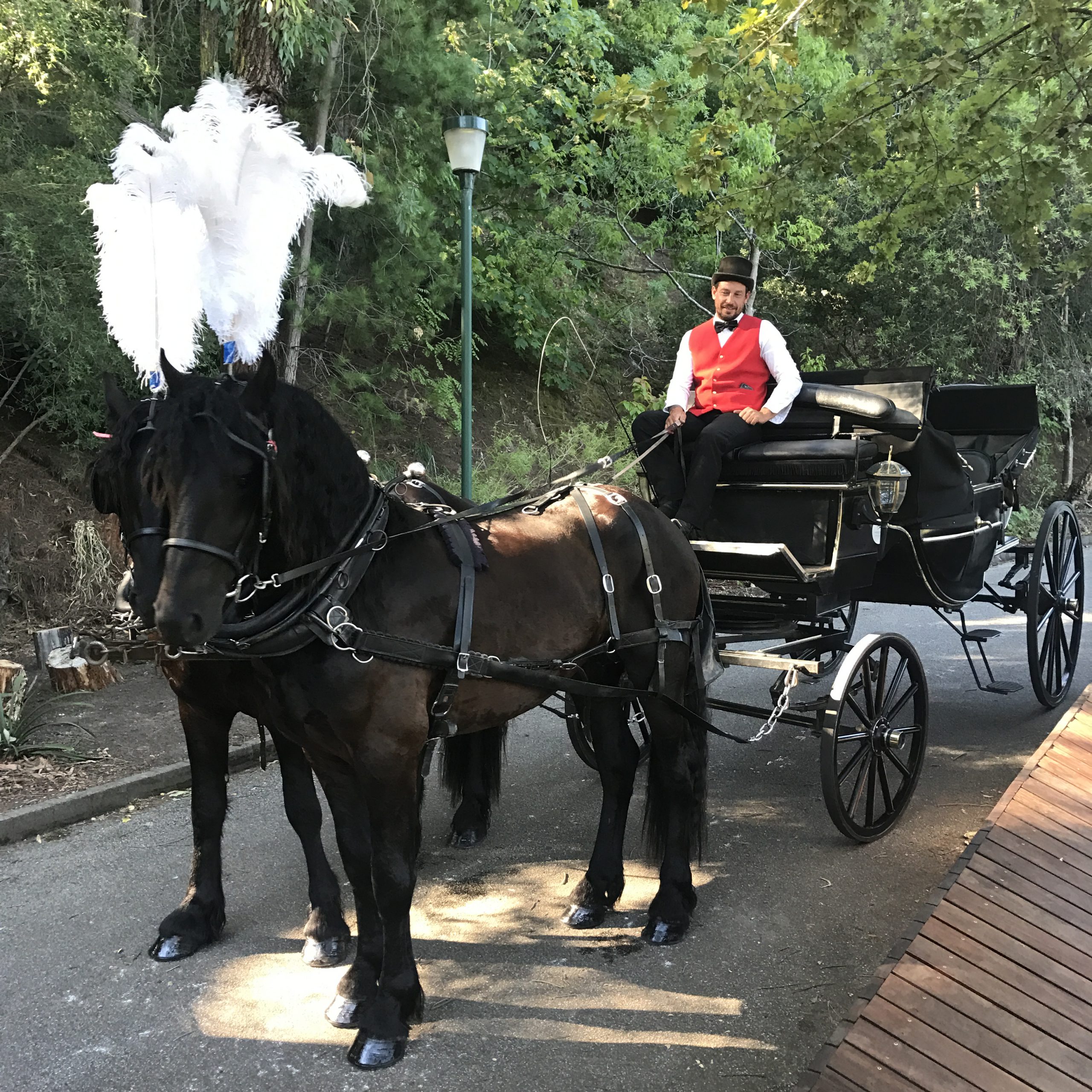 wedding black carriage