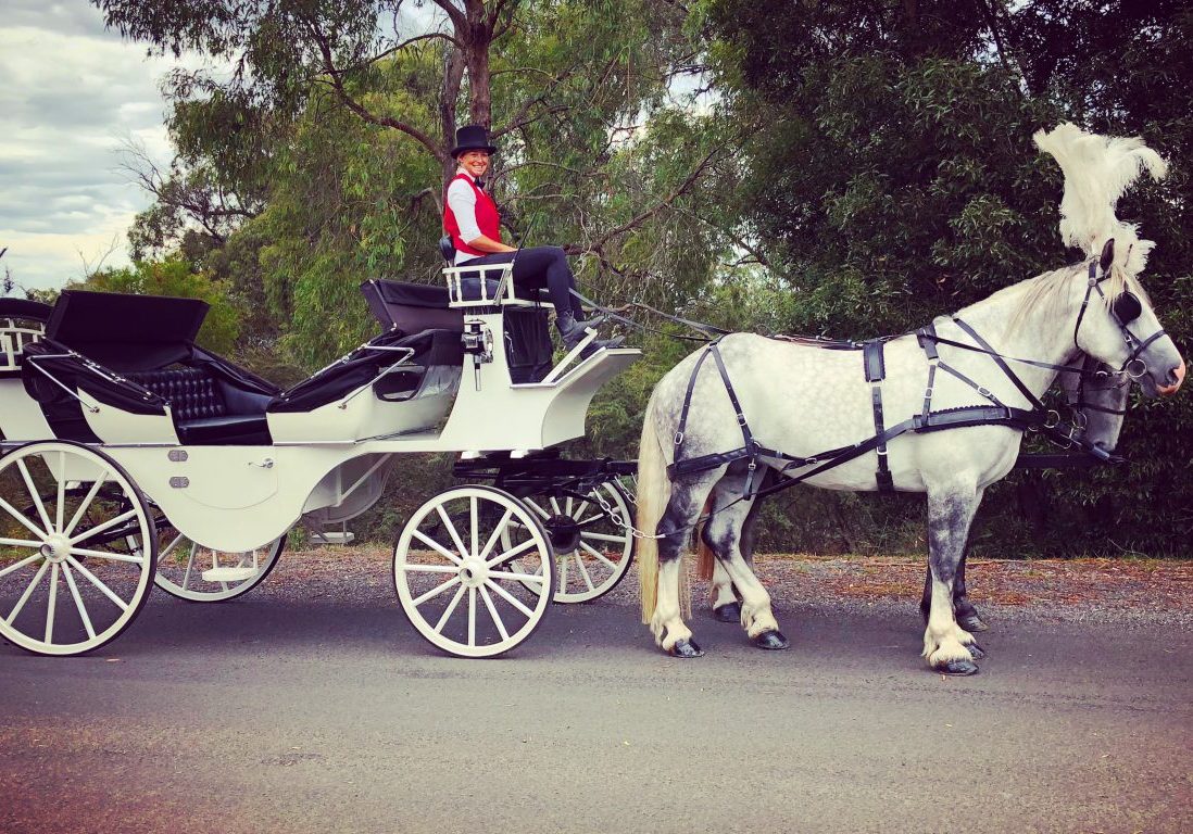Horse Drawn carriages with grey horses