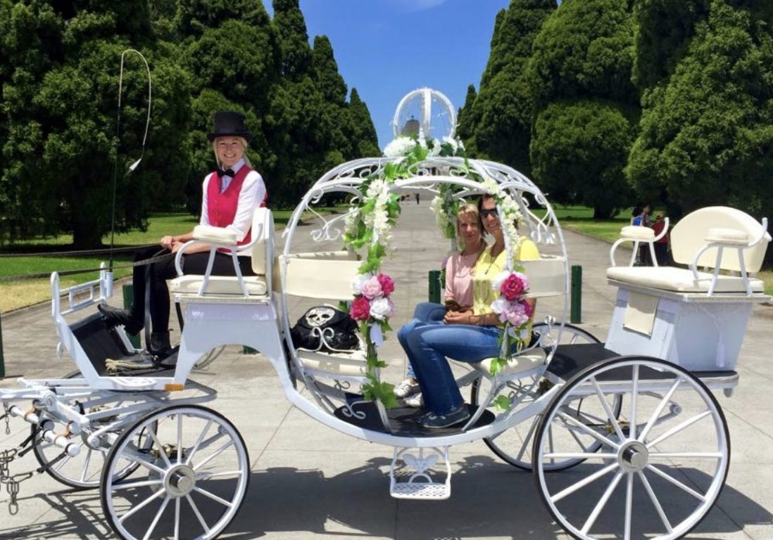 princess carriage with happy customers