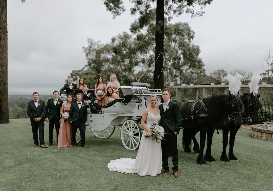 white landau with grey seats and bridal party