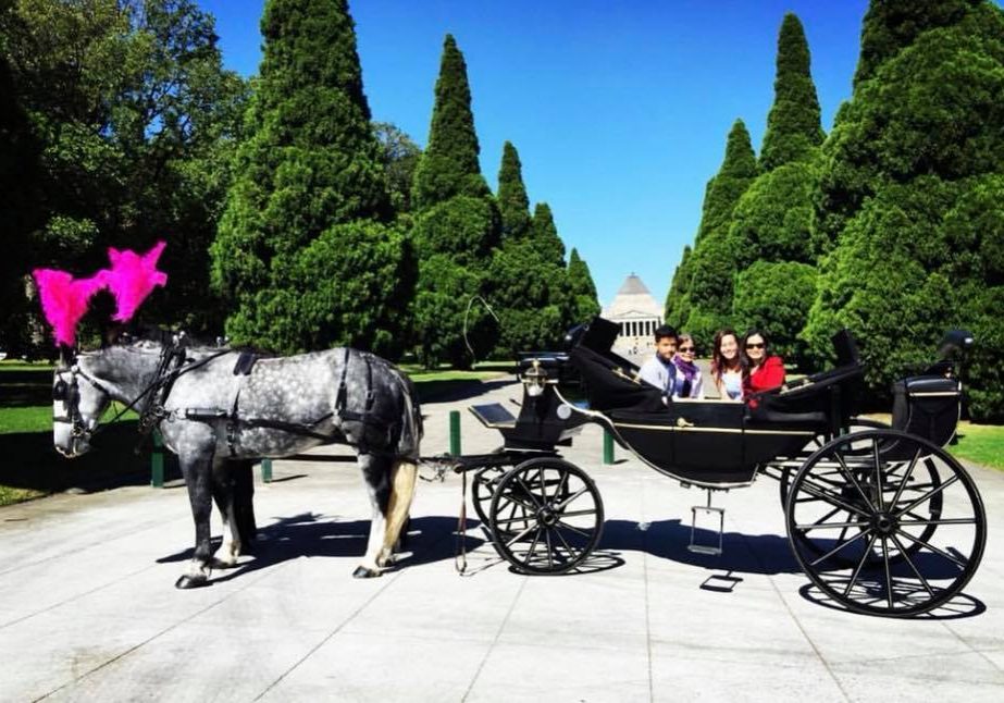 black horse and carriage in front of the shrine of remembrance